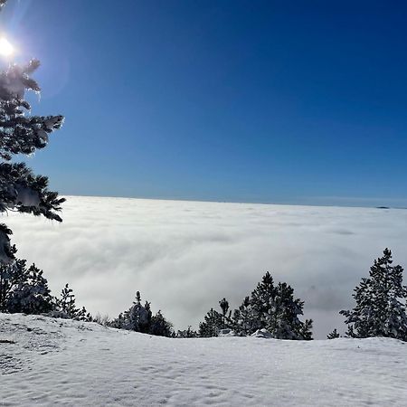 Brvnara Iverak Mokra Gora Exteriör bild
