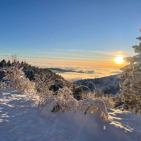Brvnara Iverak Mokra Gora Exteriör bild