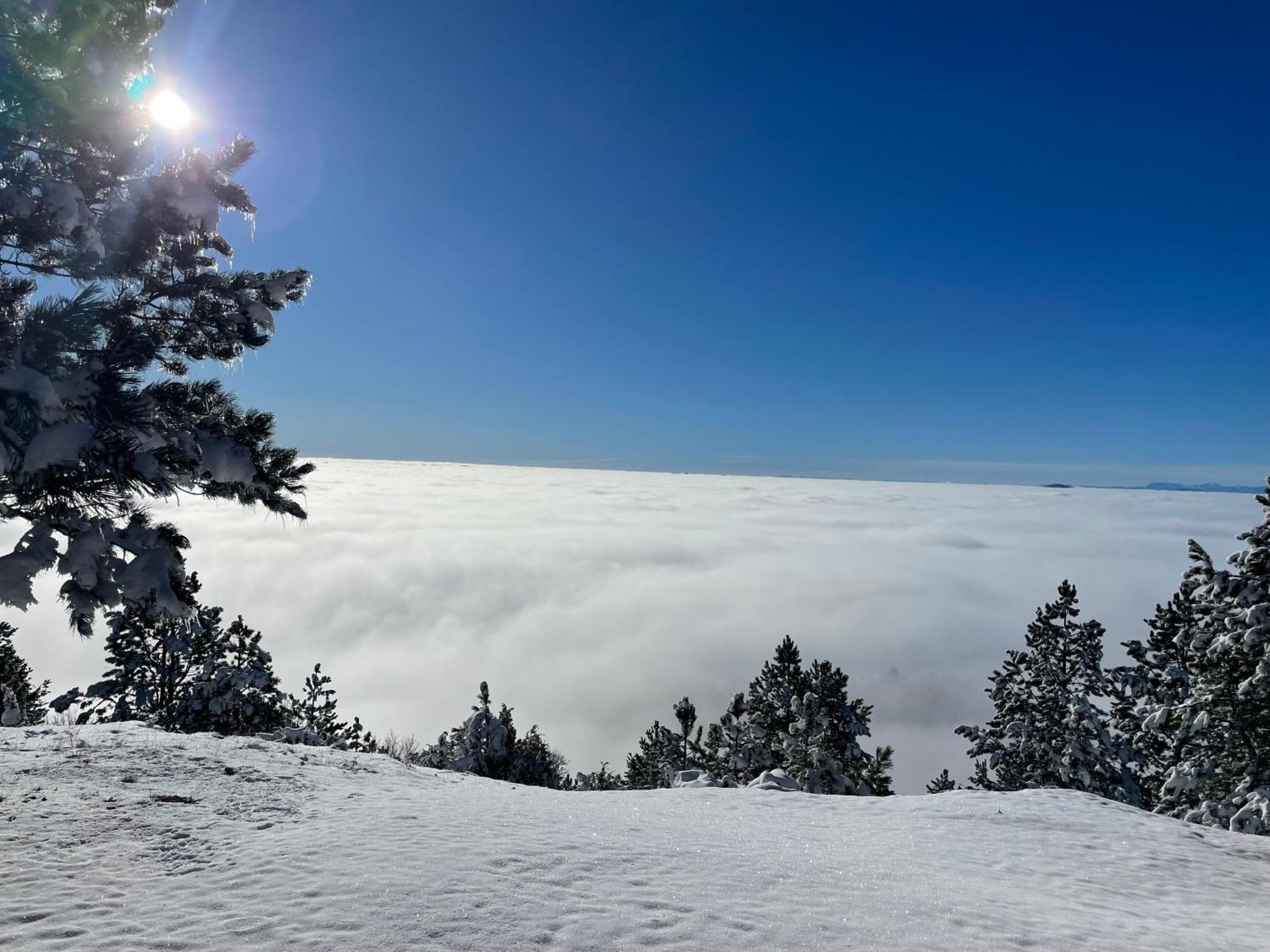 Brvnara Iverak Mokra Gora Exteriör bild