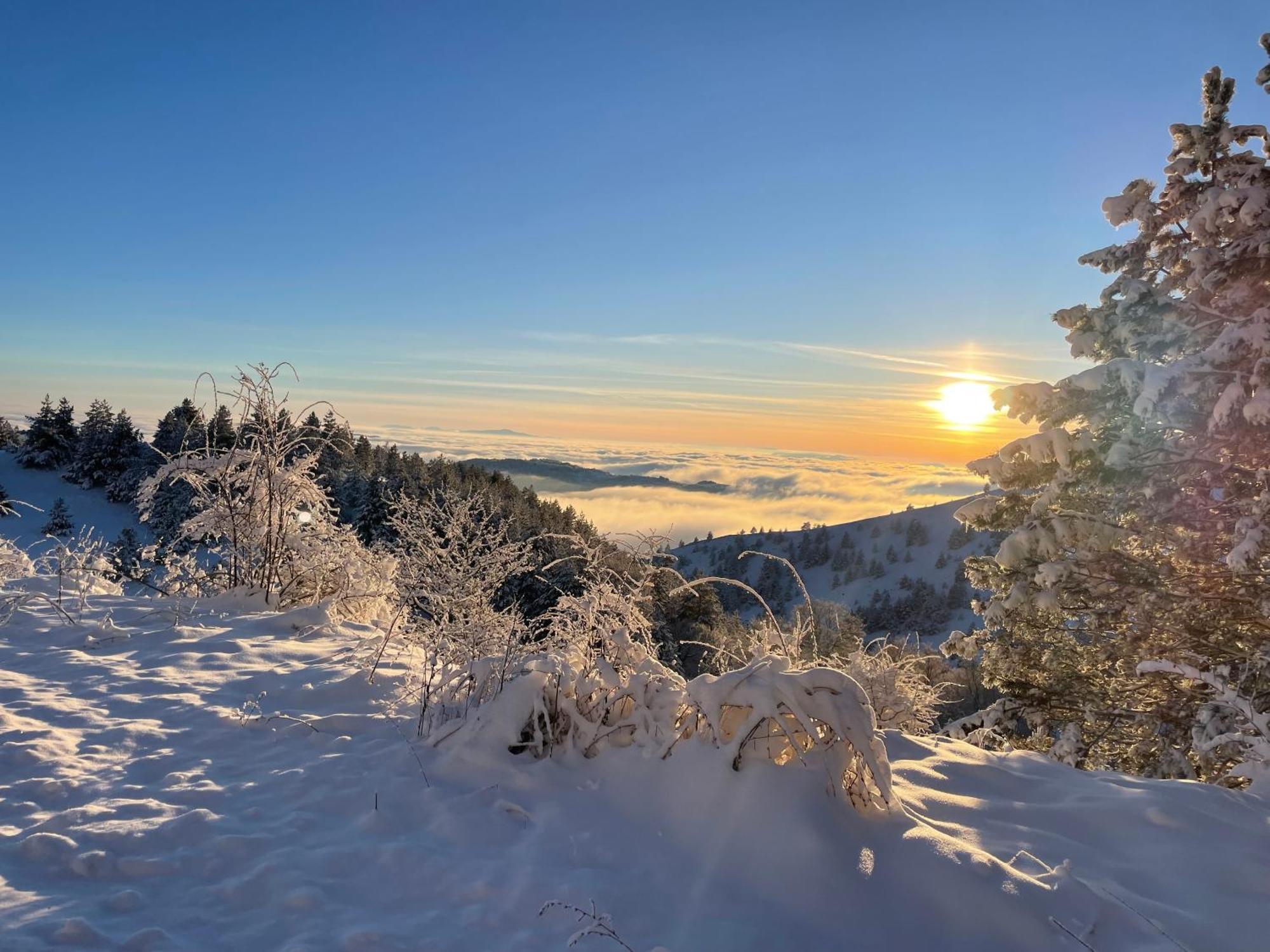Brvnara Iverak Mokra Gora Exteriör bild